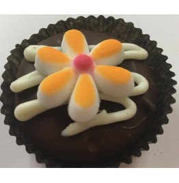 Chocolate Covered Oreo Cookie - Groovy Assortment