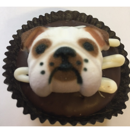 Chocolate Covered Oreo Cookie - Assorted Dogs