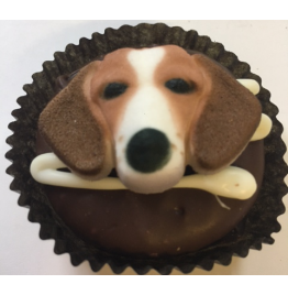 Chocolate Covered Oreo Cookie - Assorted Dogs